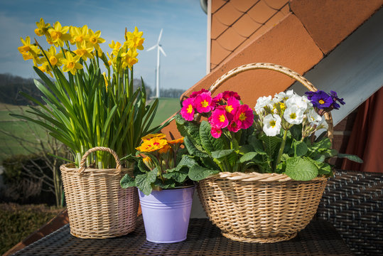 Fr&uuml;hlingsbl&uuml;her auf dem Tisch
