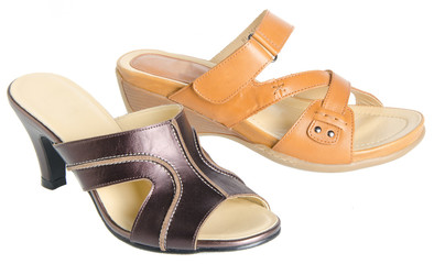 shoe. woman shoe on a background