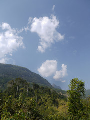 Jungle, mountains. Muang Ngoi, LAO