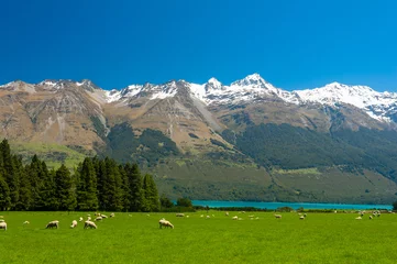 Foto op Plexiglas Nieuw-Zeelandse bergen © Fyle