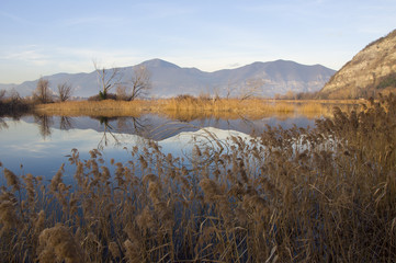 View of Torbiere of Sebino in Iseo lake in Italy