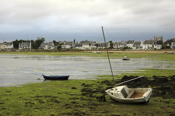 algues vertes; bord de mer; region Bretagne; Locmiquelic; 56