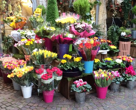 Frühlingsanfang: Bunte Blumen in einem Blumenladen