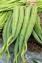 fresh zucchini in the market