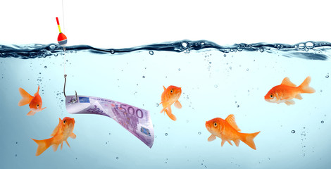 goldfish in danger - euro as bait - concept deception - obrazy, fototapety, plakaty
