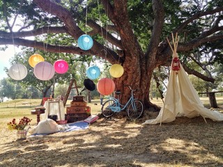 Funny surprise a picnic in the park