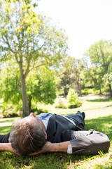Fototapeta premium Businessman lying in park