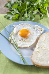 fried egg on a plate