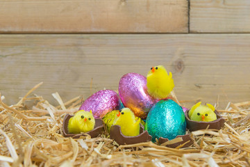 Easter chicks hatching from chocolate eggs