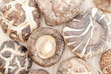 closeup died shiitake mushrooms on wood floor.