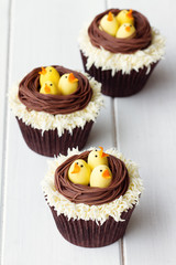 Easter chick cupcakes