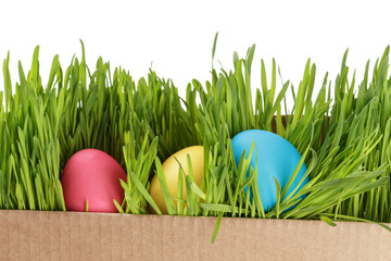 easter eggs hiden in grass