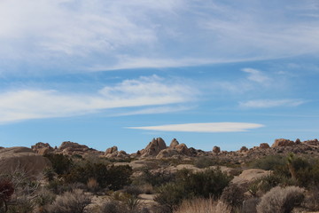 Fototapeta na wymiar Joshua Tree National Park California Desert Landscape