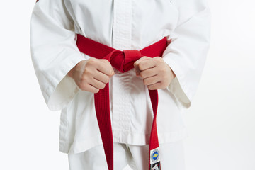taekwondo basic position close up