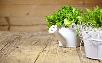 Fresh herbs on a rustic table in late day sunlight