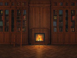 libraries around the fireplace