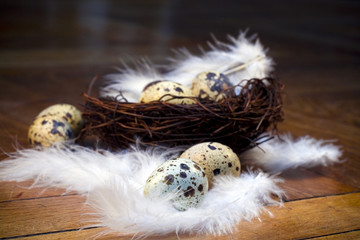 feather eggs