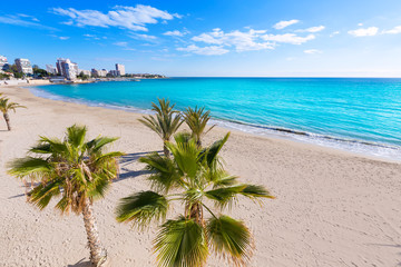 Alicante San Juan beach of La Albufereta with palms trees