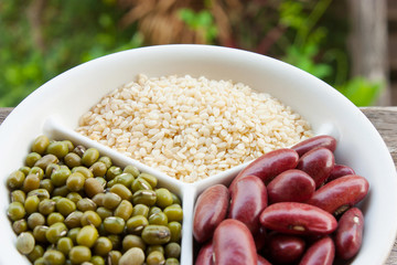Close-up of seed plants.