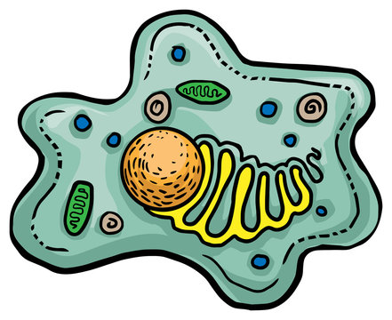 Molecule, bacteria