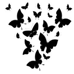 butterflies design