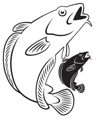 ling fish