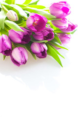 Fototapeta na wymiar Букет тюльпанов на белом фоне