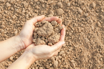 Soil- handful,female hands, humus soil