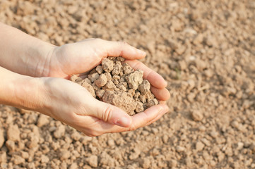 soil- handful,female hands, humus soil