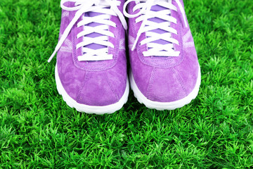 Beautiful gumshoes on green grass on bright background