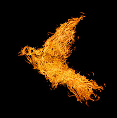 flame flying abstract bird isolated on black