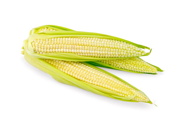 Corn cobs