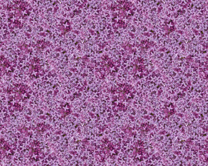 light lilac flowers seamless background