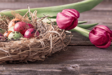 Easter egg nest with flowers on rustic wooden background