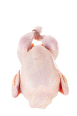 Raw chicken it is isolated on a white background