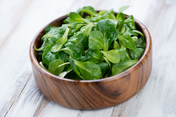 Wooden bowl with corn salad leaves, studio shot