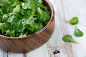 Fresh corn salad leaves, close-up, horizontal shot