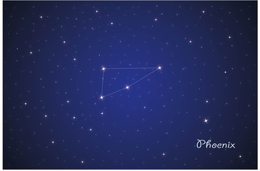Obraz na płótnie Canvas Constellation Phoenix