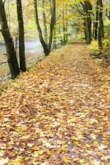 Peklo Valley in autumn, Czech Republic