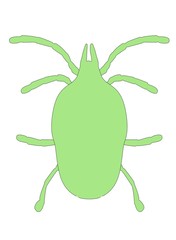 cartoon image of mite animal