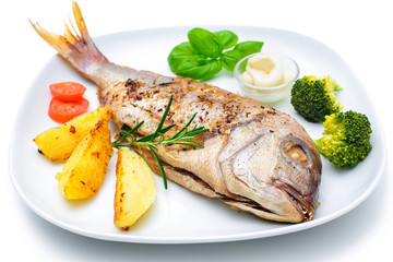 Sea bream fish