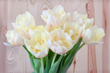 Yellow tulips background. 