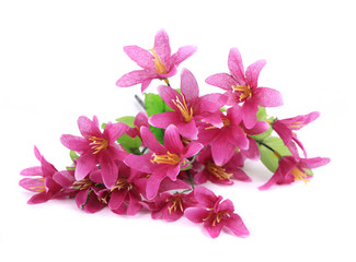 Close up of flower bouquet.