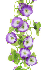 Close up of blooming artificial flowers.