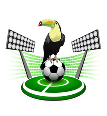 ball_tucan © Davidus
