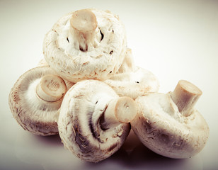 mushrooms