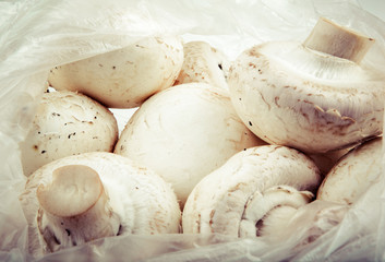 mushrooms