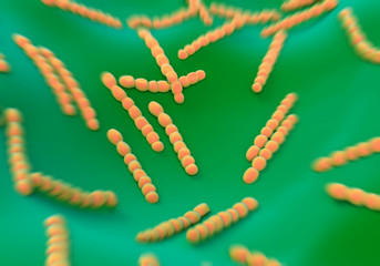 Streptococcus pneumoniae, bacteria artwork