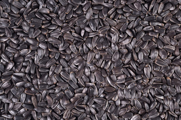 Black sunflower seeds background