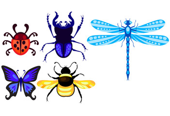 stag-beetle; dragonfly; ladybug; butterfly and bumblebee set